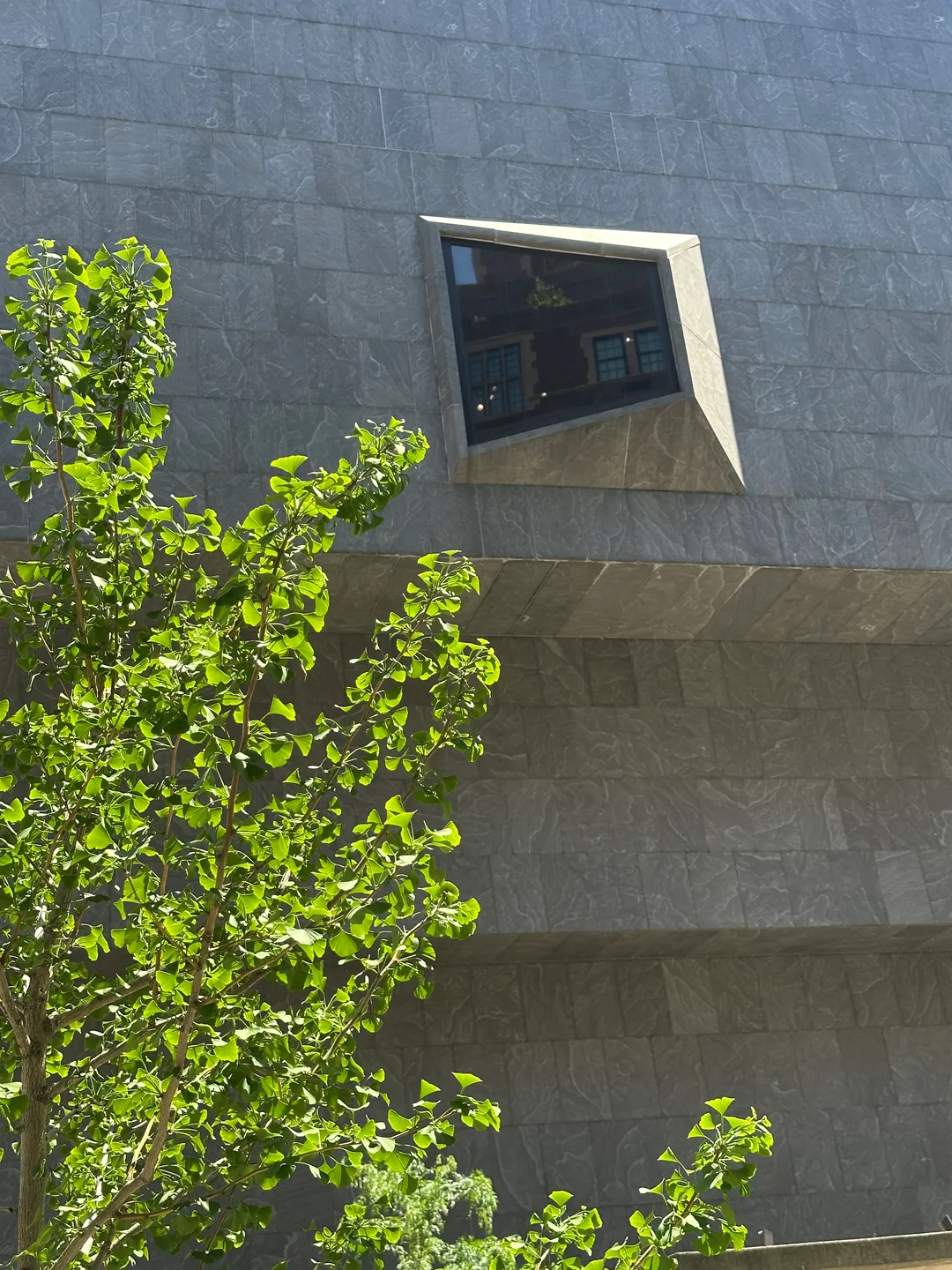 Upper East Side Brutalist Architecture Tour, photograph 29